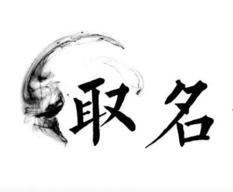  华安宝宝取名 大师一对一人工起名